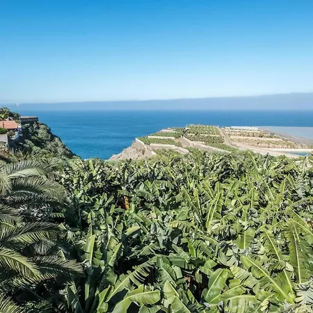 Alejandrina La Guancha