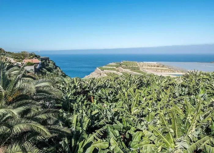 Alejandrina La Guancha